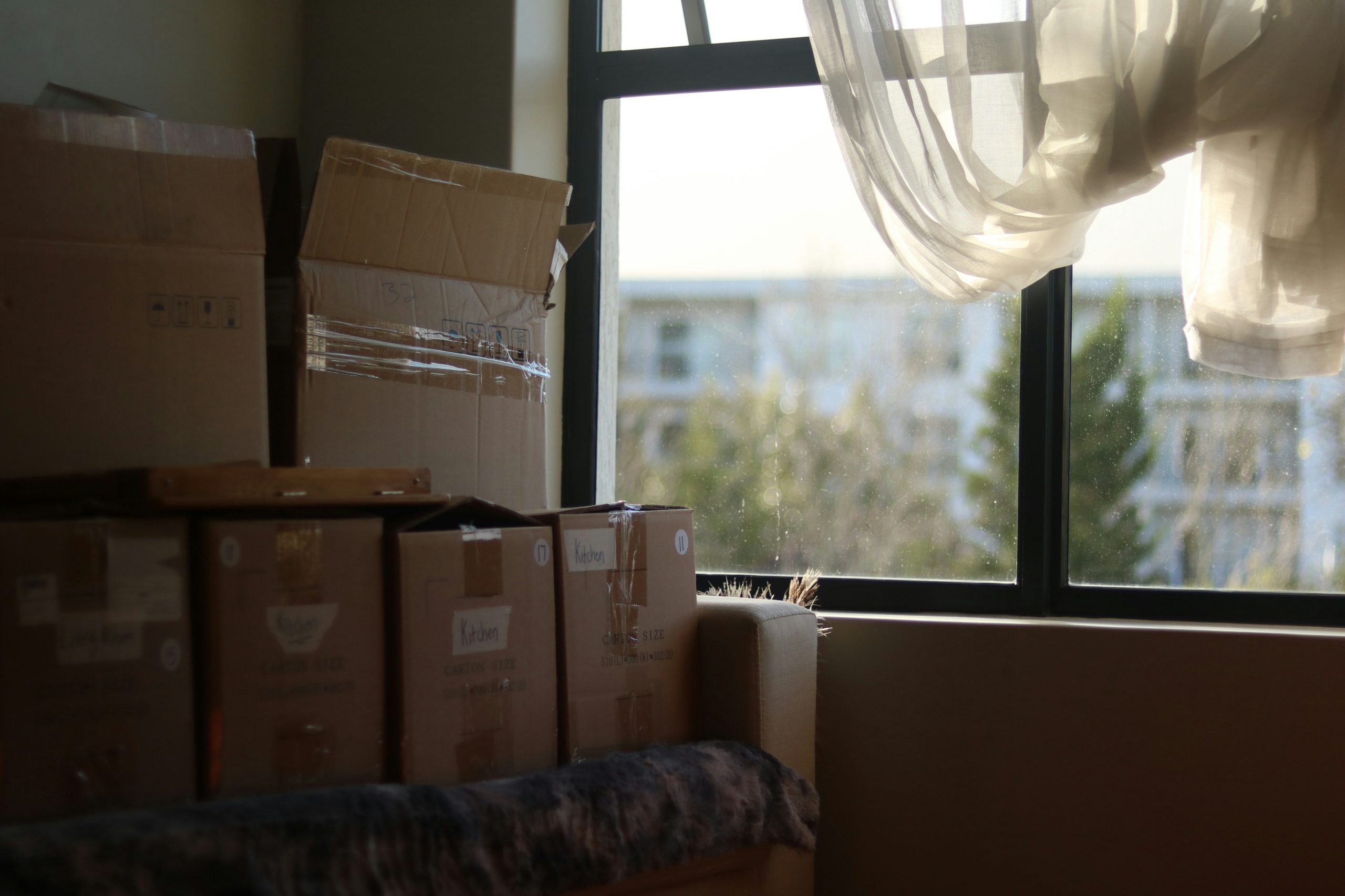 professional movers